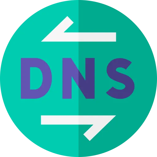 Dns Lookup